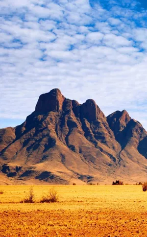 Modern African Phone Technology Wallpaper