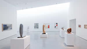 Modern Art Gallery Interior Display Wallpaper