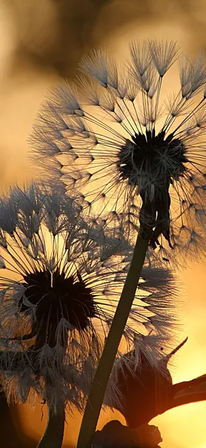 Modern Cityscape At Twilight Wallpaper