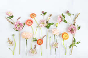 Modern Floral Arrangement Flatlay Wallpaper