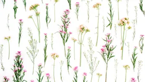 Modern Floral Pattern Design Wallpaper