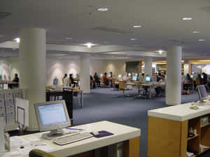 Modern Library Computer Section Wallpaper