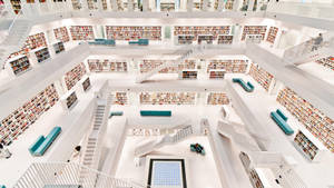 Modern Library Interior Wallpaper