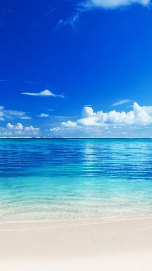 Modern Monochrome Photographic Print Wallpaper