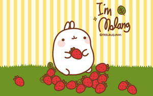 Molang On Grass Wallpaper