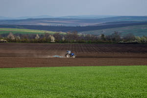 Moldova Agricultural Land Of Falesti Wallpaper