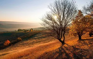 Moldova Vulcănești Town Wallpaper