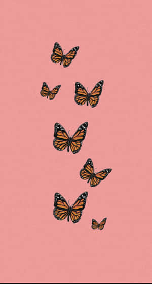 Monarch Butterflies Pink Background Wallpaper