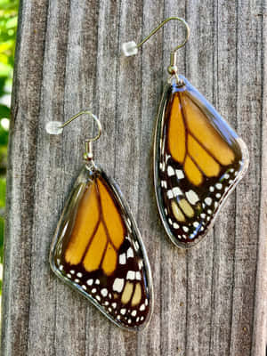 Monarch Butterfly Wing Earrings Wallpaper