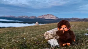 Monchhichi Doll Outdoors Wallpaper