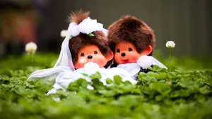 Monchhichi Wedding Dolls Wallpaper