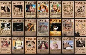 Monkey D Dragon Wanted Poster Wallpaper