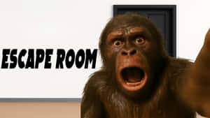 Monkey Escape Room Reaction Wallpaper