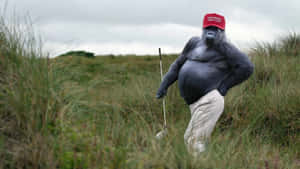 Monkey Meme Trump Style Wallpaper