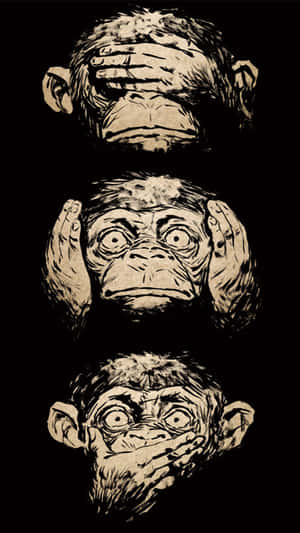 Monkey With An Iphone Wallpaper