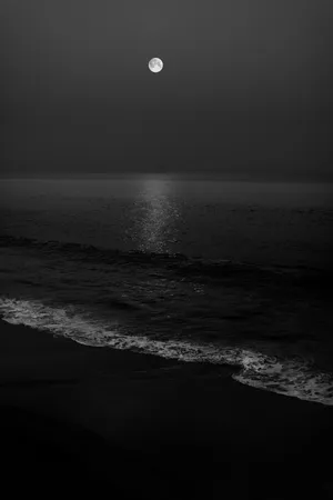 Monochromatic Beach Night Sky Wallpaper