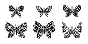 Monochrome Butterfly Collection Wallpaper