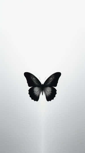 Monochrome Butterfly Silhouette Wallpaper