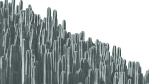 Monochrome Cactus Forest Wallpaper