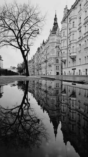 Monochrome Charm Of A Bustling Street Wallpaper