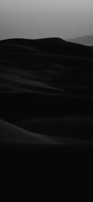 Monochrome_ Desert_ Dunes Wallpaper