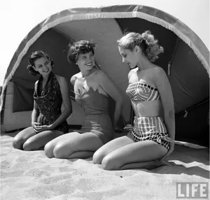 Monochrome Elegance Wallpaper