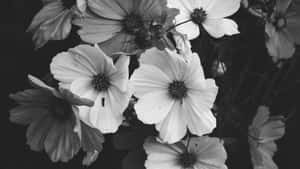 Monochrome Floral Elegance.jpg Wallpaper