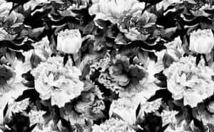 Monochrome Floral Pattern Wallpaper