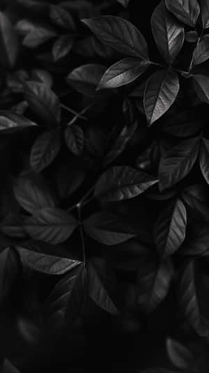 Monochrome Leaves Texture Wallpaper