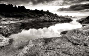 Monochrome Seascape Serenity Wallpaper