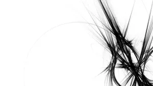 Monochrome Serenity Wallpaper