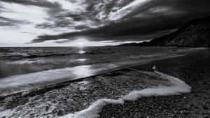 Monochrome_ Sunset_at_ Pebble_ Beach Wallpaper