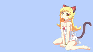 Monogatari Cat Shinobu Wallpaper