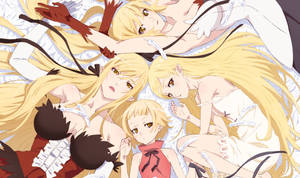 Monogatari Shinobu In Different Stage Wallpaper