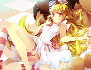 Monogatari Shinobu White Dress Wallpaper