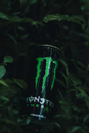 Monster Energy Drinkin Nature Wallpaper