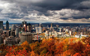 Montreal City In Autum Wallpaper