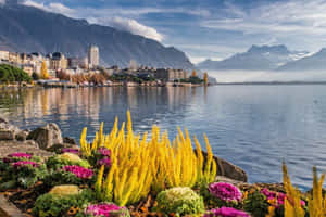 Montreux Lake Geneva Panorama Wallpaper