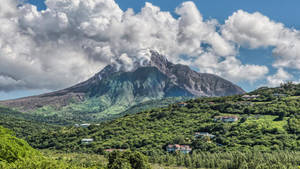 Montserrat Forest Mountain Wallpaper