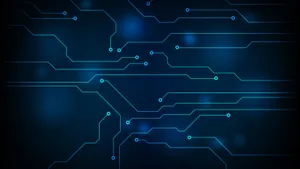 Monumental Shot Of California's Redwood National Park Wallpaper