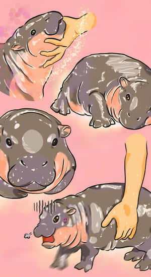 Moo Deng Hippo Care Wallpaper