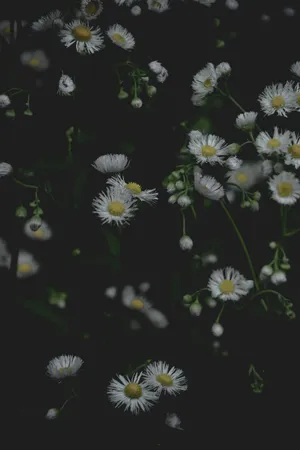 Moody Floral Dark Backdrop Wallpaper