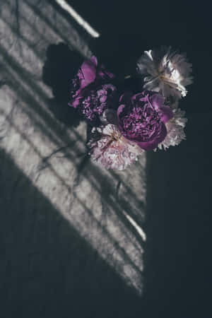 Moody Floral Shadows.jpg Wallpaper