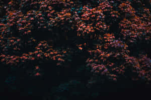 Moody Forest Leaves.jpg Wallpaper