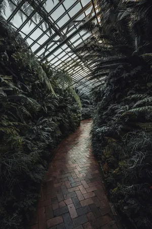 Moody Greenhouse Pathway.jpg Wallpaper
