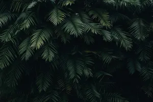 Moody Tropical Foliage.jpg Wallpaper