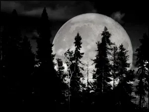 Moon 1024 X 768 Wallpaper