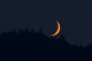 Moon 4k Orange Aesthetic Over Forest Wallpaper