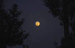 Moon In Yerevan Wallpaper