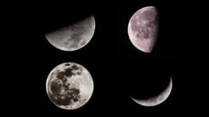 Moon Phase Wallpaper